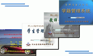 公司開發(fā)的管理類軟件--系列二